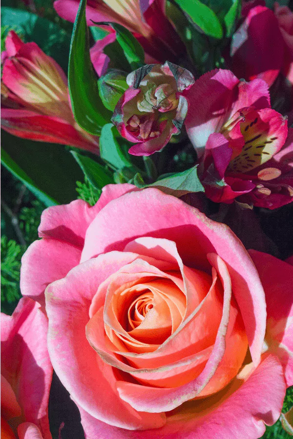 Bouquet of Roses, How to Smile Again in Times of Struggle & Heartache, Made You Smile Back, I just want to be happy