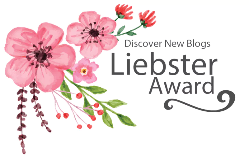 Discover New Blogs Liebster Award Nomination, Made You Smile back
