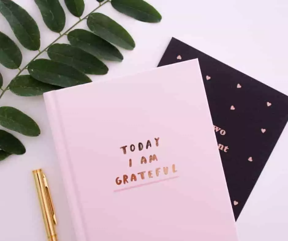 Gratitude Journal,Master the Art of Gratitude With These 15 Tips, Made You Smile Back, The Happiness Quiz, Make You Smile, Made Ya Smile, Smile, The Power of Unexpected Miracles