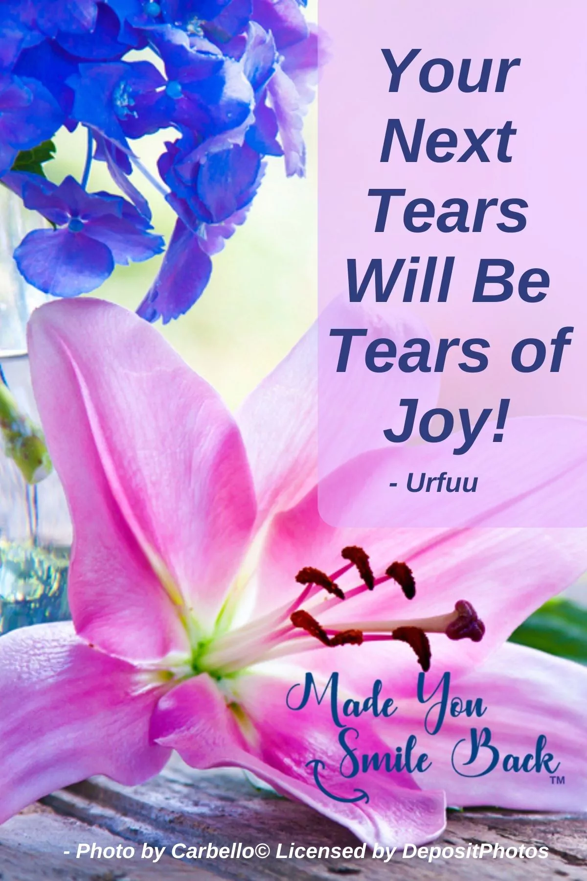 40+ Quotes to Help Relieve Your Emotional Pain