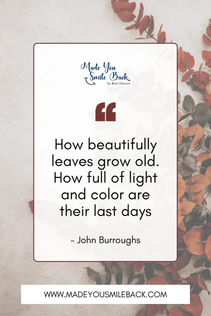 50 Fall Quotes To Inspire Reflection And Renewal &Raquo; How Beautifully Leaves Grow Old. How Full Of Light And Color Are Their Last Days. – John Burroughs