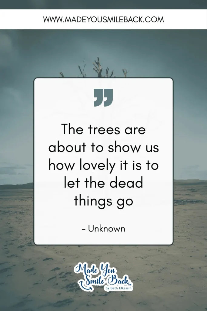 50 Fall Quotes To Inspire Reflection And Renewal &Raquo; The Trees Are About To Show Us How Lovely It Is To Let The Dead Things Go. – Unknown