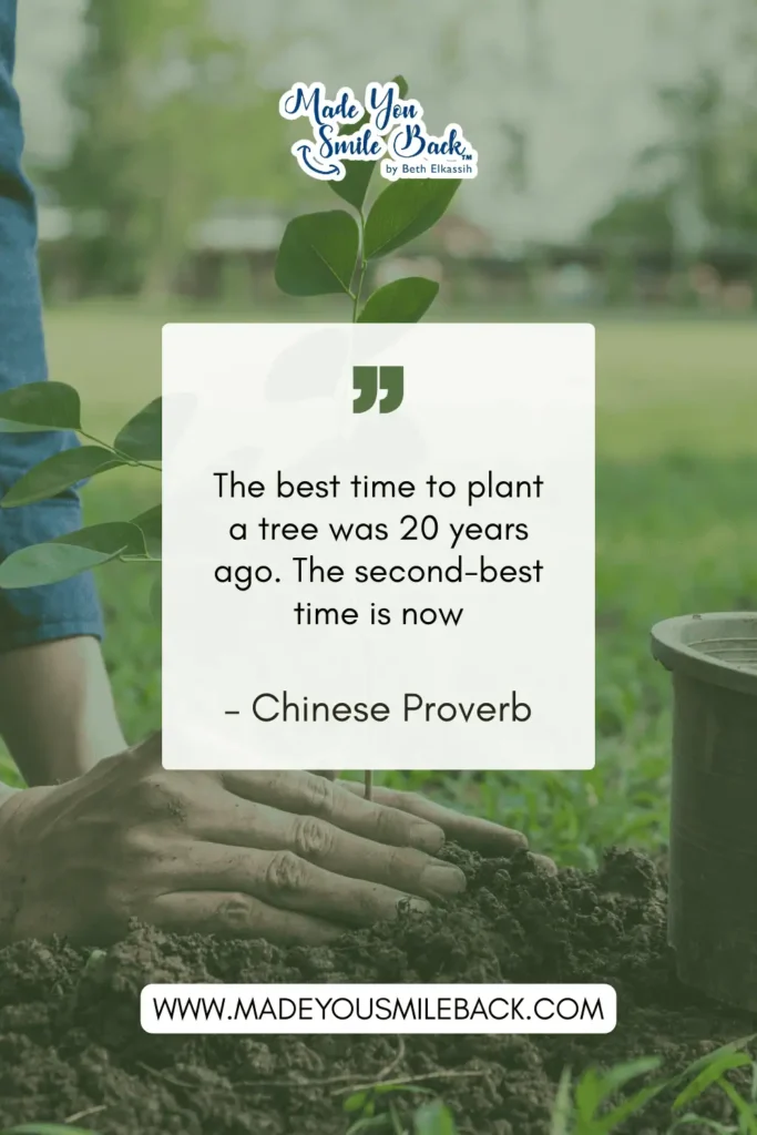 25 Top Short Meaningful Quotes To Brighten Your Day &Raquo; The Best Time To Plant A Tree Was 20 Years Ago. The Second Best Time Is Now. – Chinese Proverb